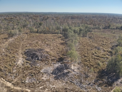 Large Diverse Land for sale in Caldwell Parish, Louisiana - image 16