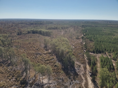 Large Diverse Land for sale in Caldwell Parish, Louisiana - image 15
