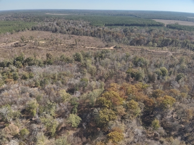 Large Diverse Land for sale in Caldwell Parish, Louisiana - image 11