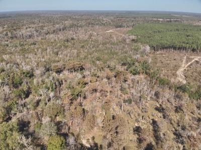 Large Diverse Land for sale in Caldwell Parish, Louisiana - image 12