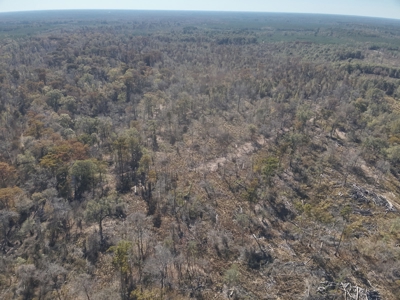 Large Diverse Land for sale in Caldwell Parish, Louisiana - image 14