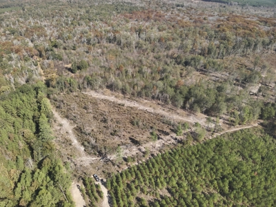 Large Diverse Land for sale in Caldwell Parish, Louisiana - image 2