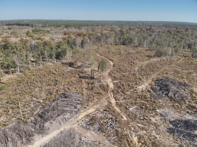 Large Diverse Land for sale in Caldwell Parish, Louisiana - image 17