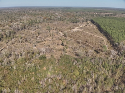 Large Diverse Land for sale in Caldwell Parish, Louisiana - image 6