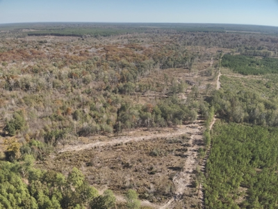 Large Diverse Land for sale in Caldwell Parish, Louisiana - image 3