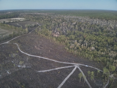 Diverse Timberland W/ Creek for Sale in Vernon Parish, LA - image 3