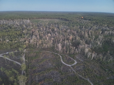 Diverse Timberland W/ Creek for Sale in Vernon Parish, LA - image 2