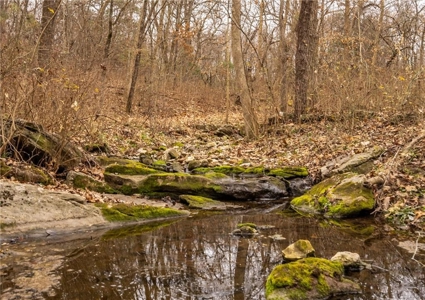 Log Cabin For Sale - image 4