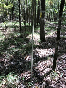 Diverse Timberland w/ Creeks for sale in Vernon Parish, LA - image 14