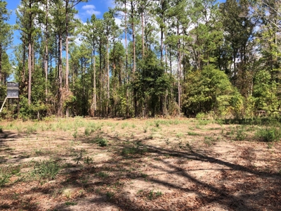 Diverse Timberland w/ Creeks for sale in Vernon Parish, LA - image 15