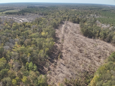 Diverse Timberland w/ Creeks for sale in Vernon Parish, LA - image 6