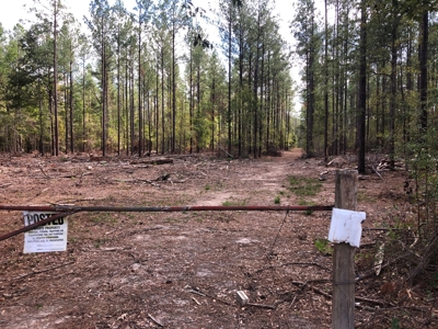 Diverse Timberland w/ Creeks for sale in Vernon Parish, LA - image 24