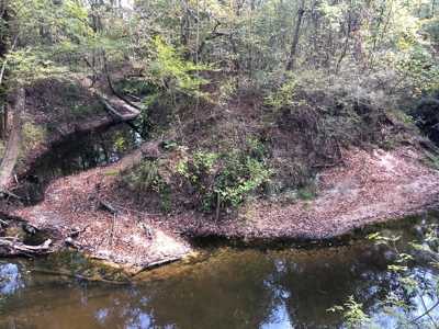 Diverse Timberland w/ Creeks for sale in Vernon Parish, LA - image 21