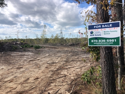 Diverse Timberland w/ Creeks for sale in Vernon Parish, LA - image 23