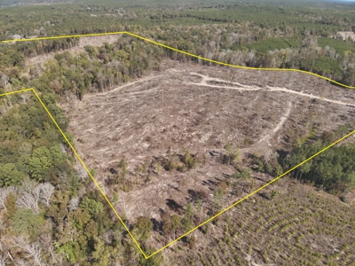 Diverse Timberland w/ Creeks for sale in Vernon Parish, LA - image 1
