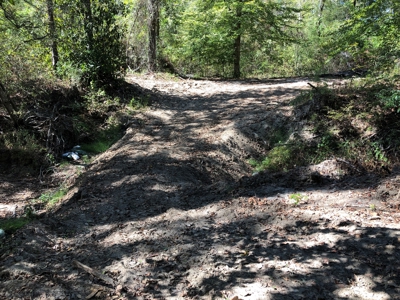 Diverse Timberland w/ Creeks for sale in Vernon Parish, LA - image 12