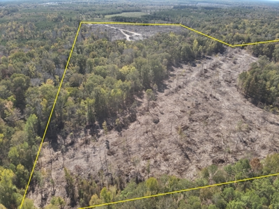 Diverse Timberland w/ Creeks for sale in Vernon Parish, LA - image 5
