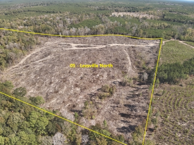 Diverse Timberland w/ Creeks for sale in Vernon Parish, LA - image 2
