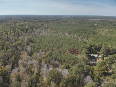 Diverse Timberland w/ Creeks for sale in Vernon Parish, LA - image 7