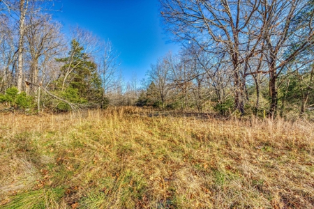150 Acre Land Property For Sale Gaither Valley Views - image 9