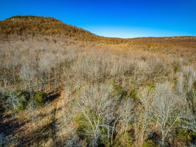 150 Acre Land Property For Sale Gaither Valley Views - image 23