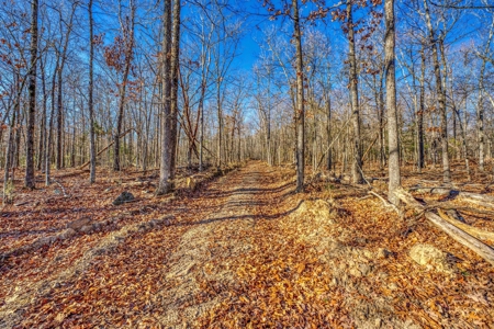 150 Acre Land Property For Sale Gaither Valley Views - image 7