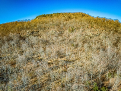 150 Acre Land Property For Sale Gaither Valley Views - image 14