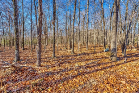 150 Acre Land Property For Sale Gaither Valley Views - image 8