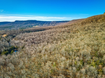 150 Acre Land Property For Sale Gaither Valley Views - image 3