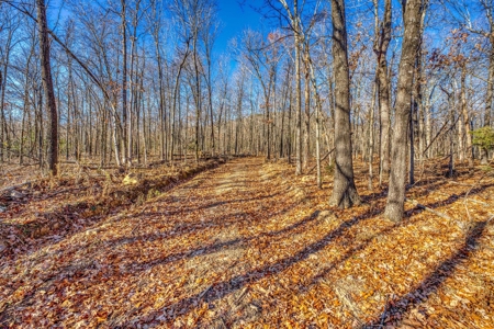 150 Acre Land Property For Sale Gaither Valley Views - image 6