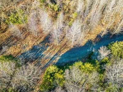 150 Acre Land Property For Sale Gaither Valley Views - image 24