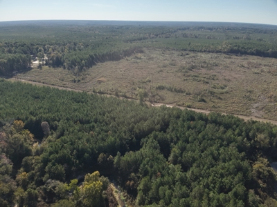 Large Diverse Pine Land W/ Creek for sale near Leesville, LA - image 1