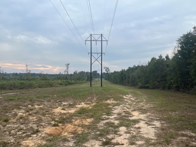 Large Diverse Pine Land W/ Creek for sale near Leesville, LA - image 18