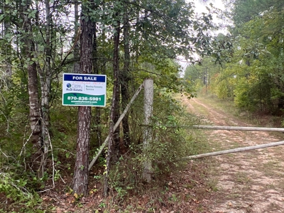 Large Diverse Pine Land W/ Creek for sale near Leesville, LA - image 21