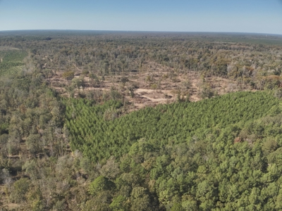 Hardwood Land W/ River Frontage for Sale in Winn Parish, LA - image 1