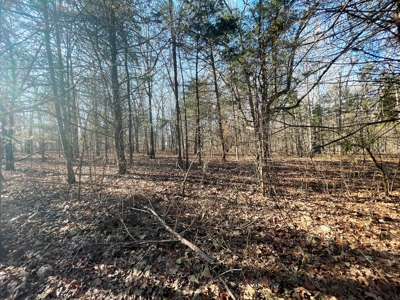 35+ Acres Izard County AR - image 7