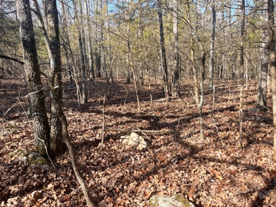 35+ Acres Izard County AR - image 3