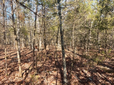 35+ Acres Izard County AR - image 4