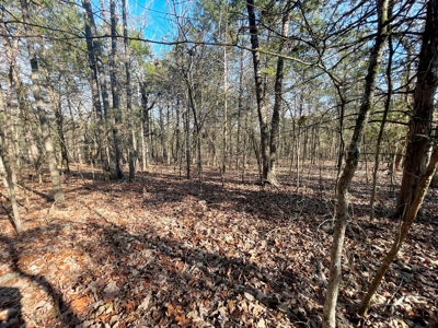35+ Acres Izard County AR - image 8