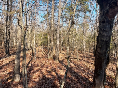 35+ Acres Izard County AR - image 11