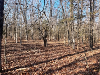 35+ Acres Izard County AR - image 9