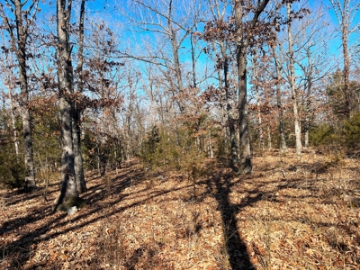 35+ Acres Izard County AR - image 18