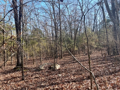 35+ Acres Izard County AR - image 16