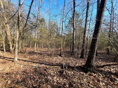 35+ Acres Izard County AR - image 6