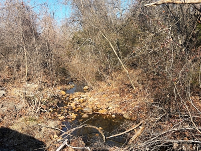 35+ Acres Izard County AR - image 17