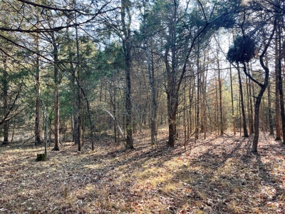 35+ Acres Izard County AR - image 21