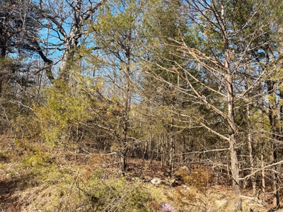35+ Acres Izard County AR - image 2