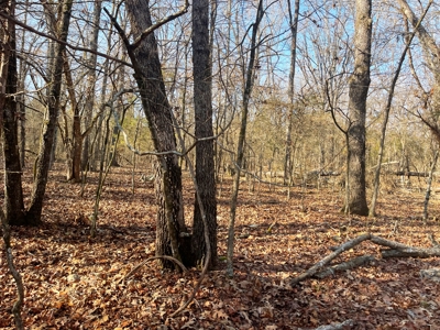 35+ Acres Izard County AR - image 14