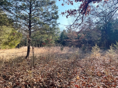 35+ Acres Izard County AR - image 20
