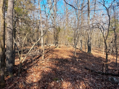 35+ Acres Izard County AR - image 12